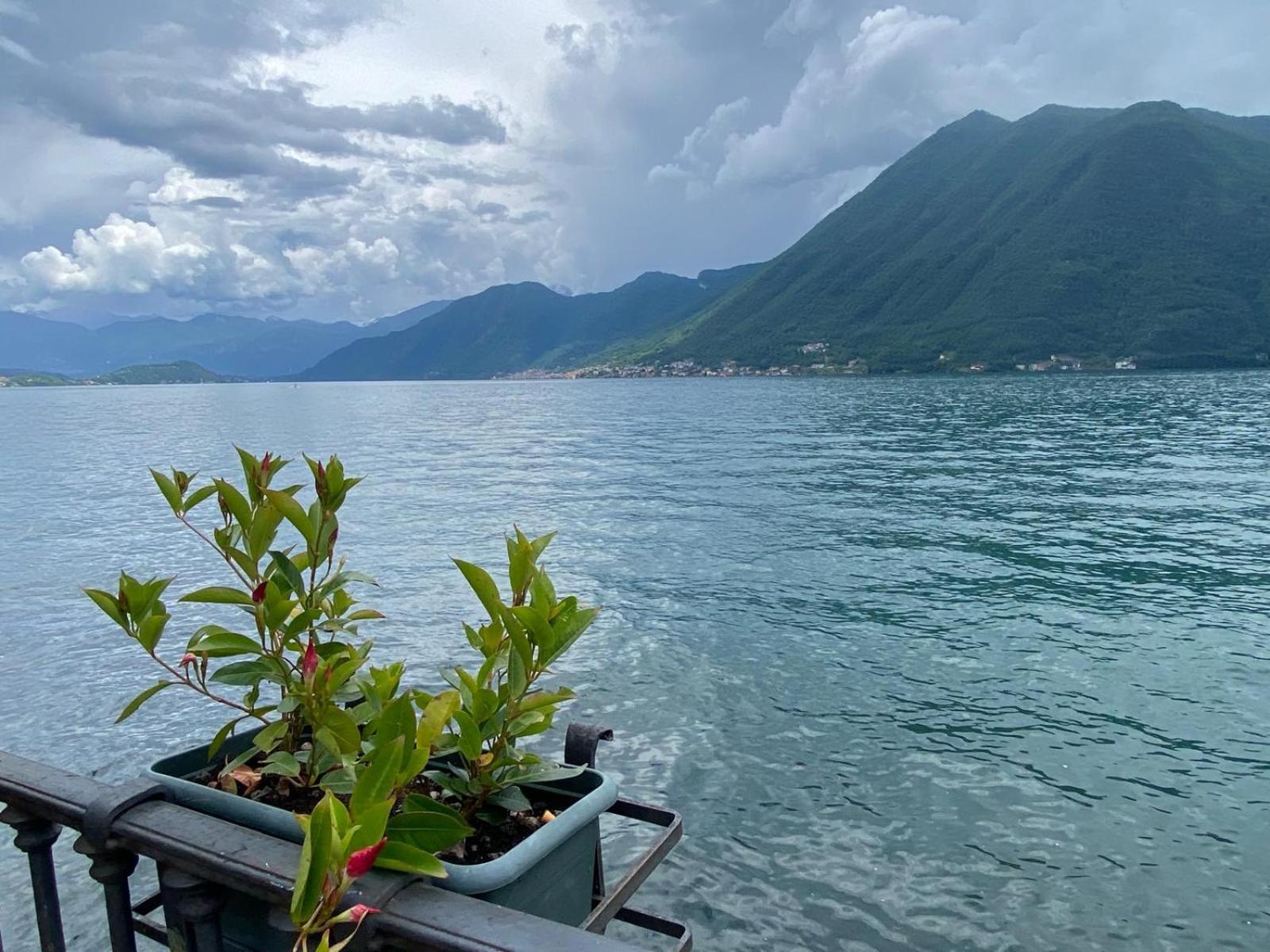 Argegno'S River - Central Apartment Lake View Rum bild